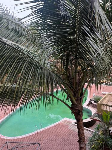 whatsapp_image_2026-07-01_at_20